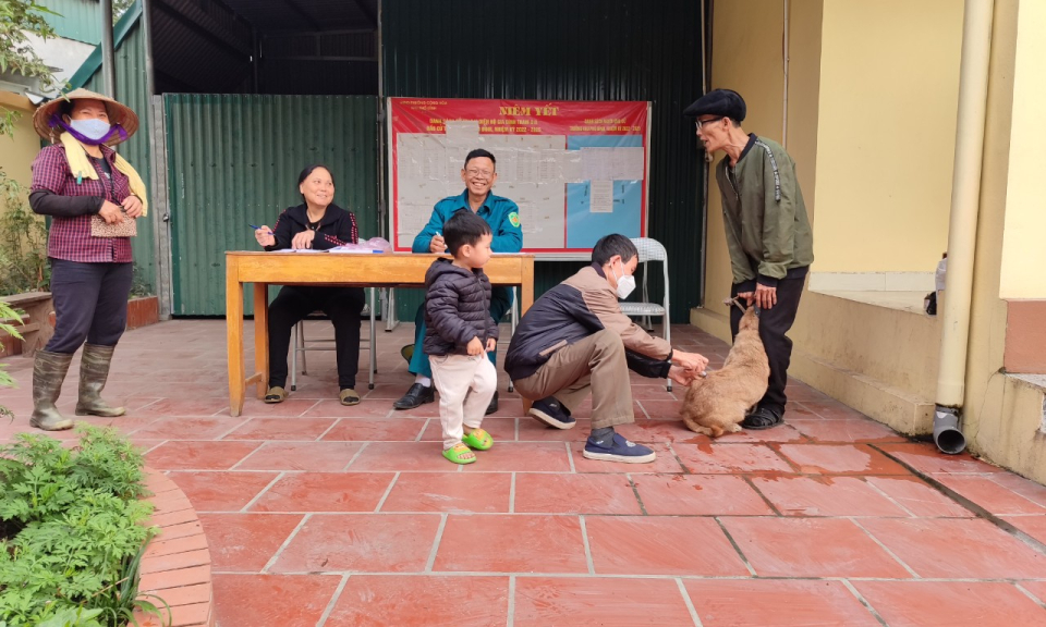 TX Quảng Yên: Chủ động tiêm phòng bệnh dại cho chó, mèo nuôi trước khi sang hè