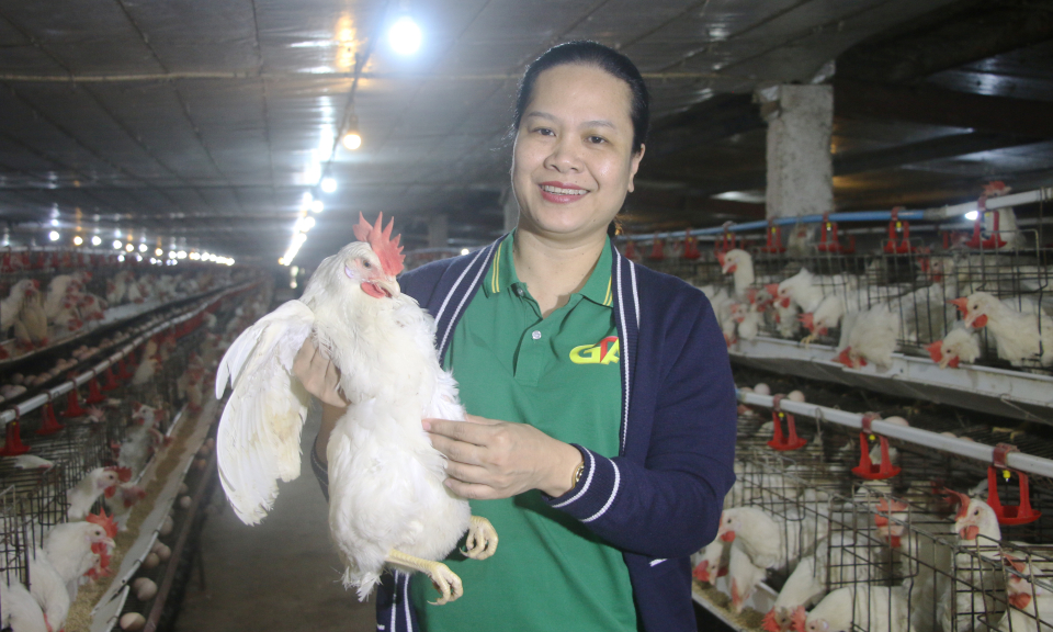 Doanh nhân Phạm Thị Nguyệt Dung với nỗ lực nâng tầm giá trị nông sản Quảng Ninh