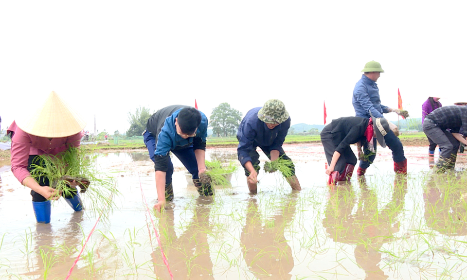 Đảm bảo tiến độ gieo cấy vụ xuân 