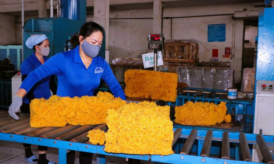 Việt Nam là thị trường ngoài khối cung cấp cao su lớn thứ 12 cho EU