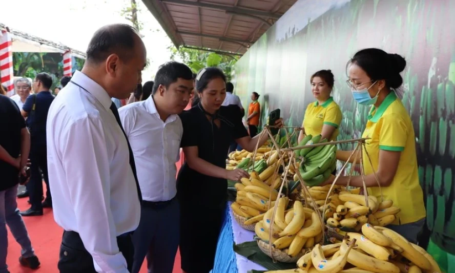 Nhiều cơ hội xuất khẩu nông sản sang Nhật Bản