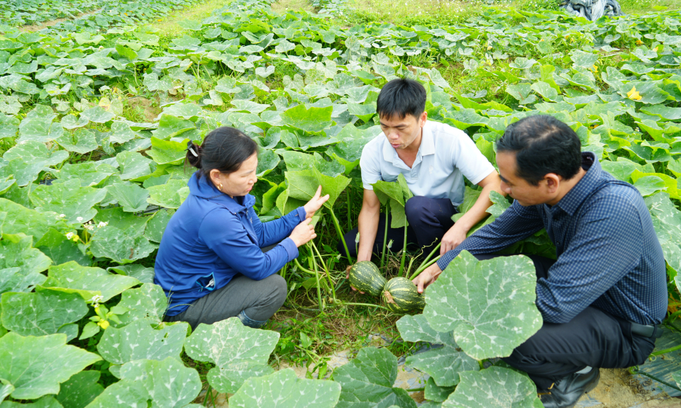 Chăm lo phát triển vùng đồng bào DTTS
