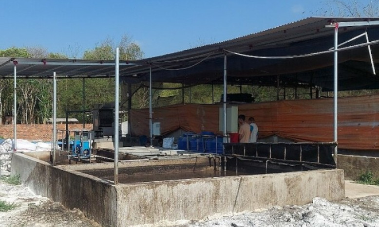 Ba người chết dưới hầm biogas
