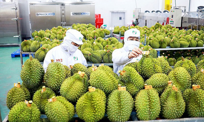 Viet Nam becomes second largest fruit and veggie exporter to China