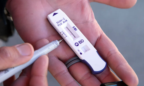 Nghi vấn nguồn lây cúm A/H5N1 ở Nha Trang từ chim hoang dã