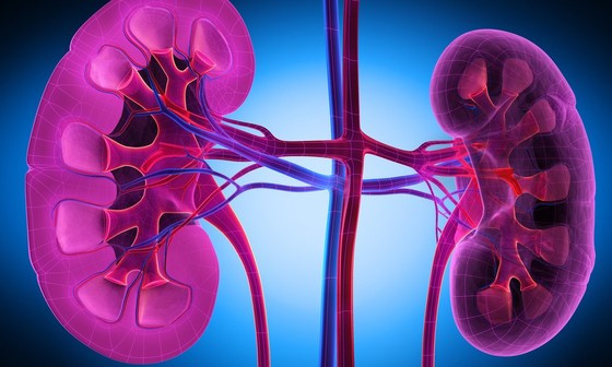 Dấu hiệu cảnh báo thận đang dần mất chức năng