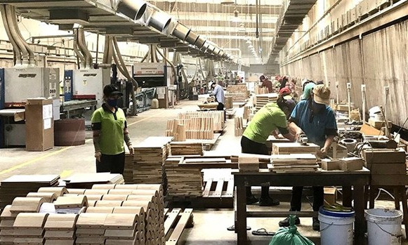 Connecting with FDI firms helps boost wood exports: insiders