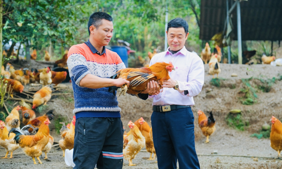 Tiên Yên: Nâng cao tiêu chí thu nhập trong xây dựng nông thôn mới