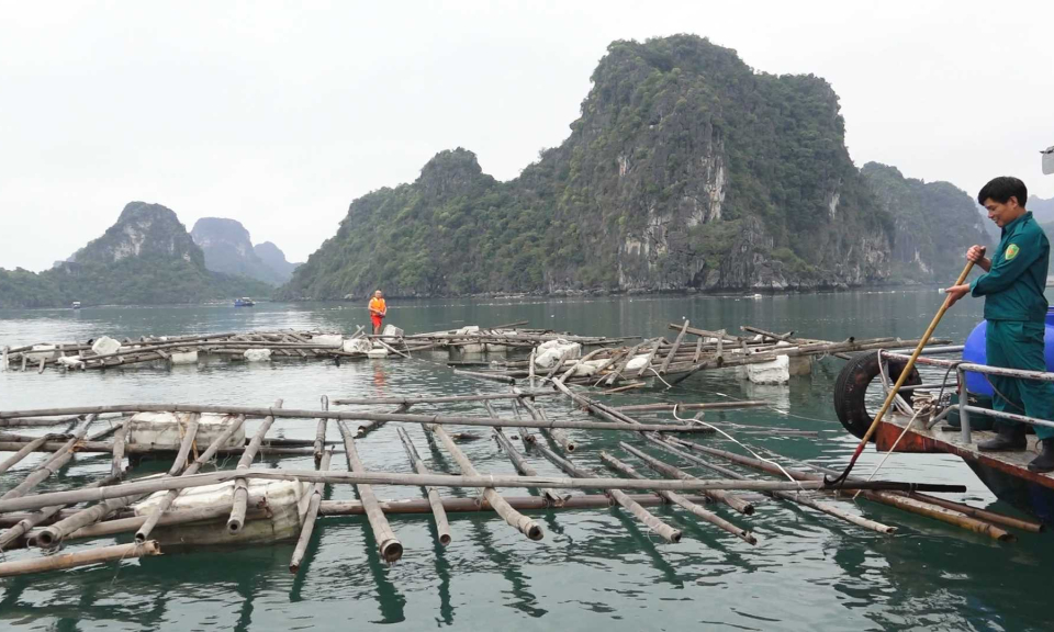 TP Cẩm Phả: Duy trì thu gom rác thải trên biển hàng tuần 