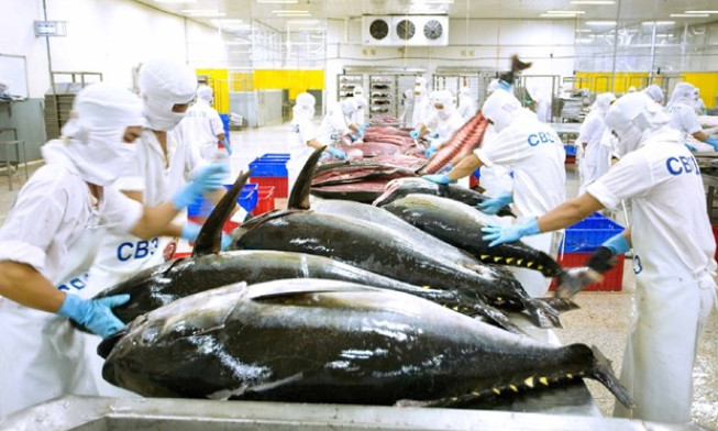 Tuna exports predicted to rebound as billion-USD earner