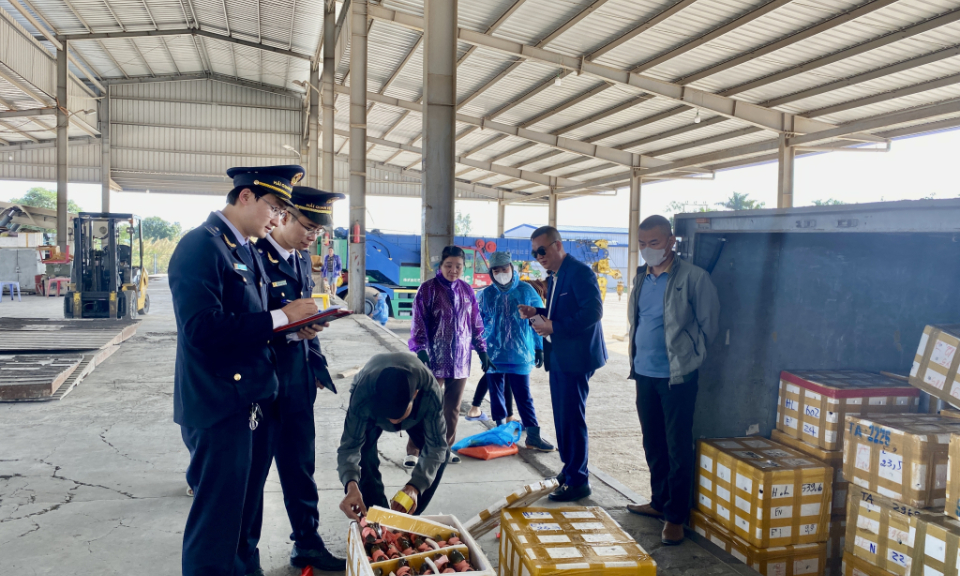 Thu ngân sách XNK khởi sắc quý đầu