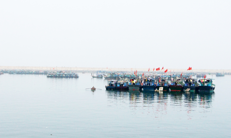 Quảng Ninh: Phấn đấu trở thành trung tâm nuôi biển của miền Bắc