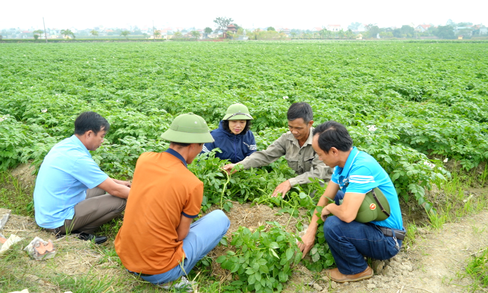 Dân vận khéo giúp nông dân sản xuất, kinh doanh giỏi