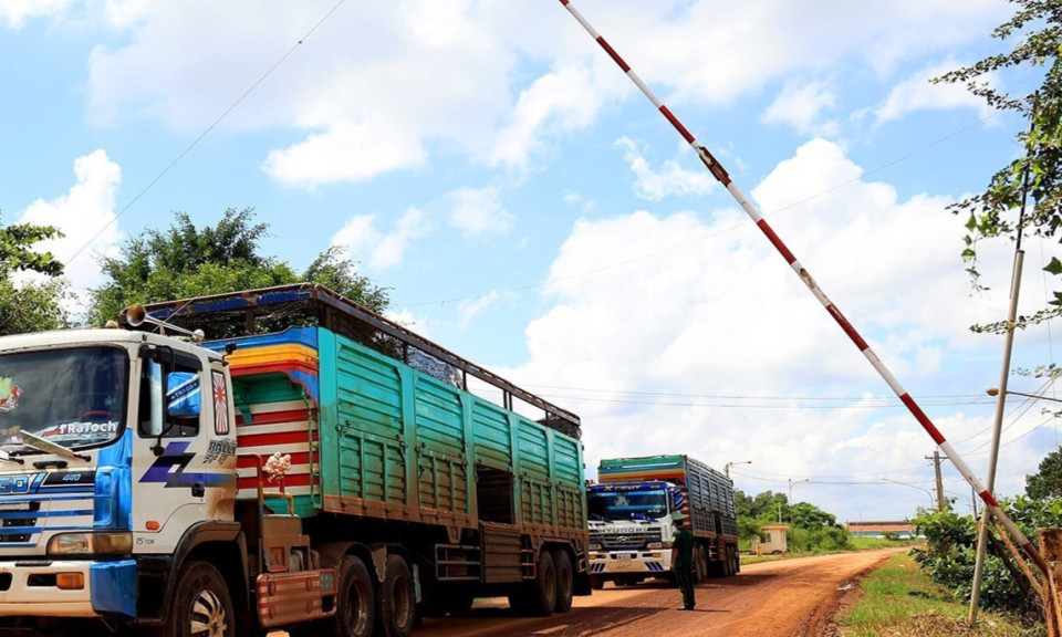 Vụ buôn lậu hơn 6.000kg vàng: Mang vàng khối qua cửa an ninh để lên máy bay