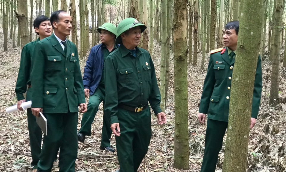 Phát triển kinh tế từ rừng