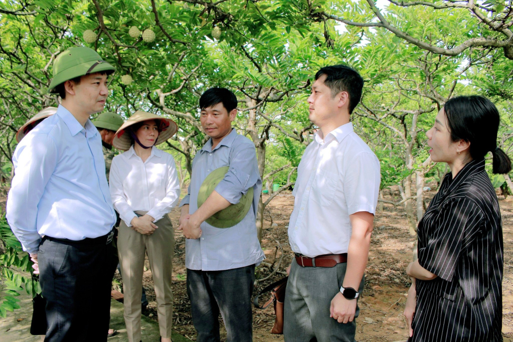 Lãnh đạo Thị ủy Đông Triều thăm mô hình trồng na xã Việt Dân.