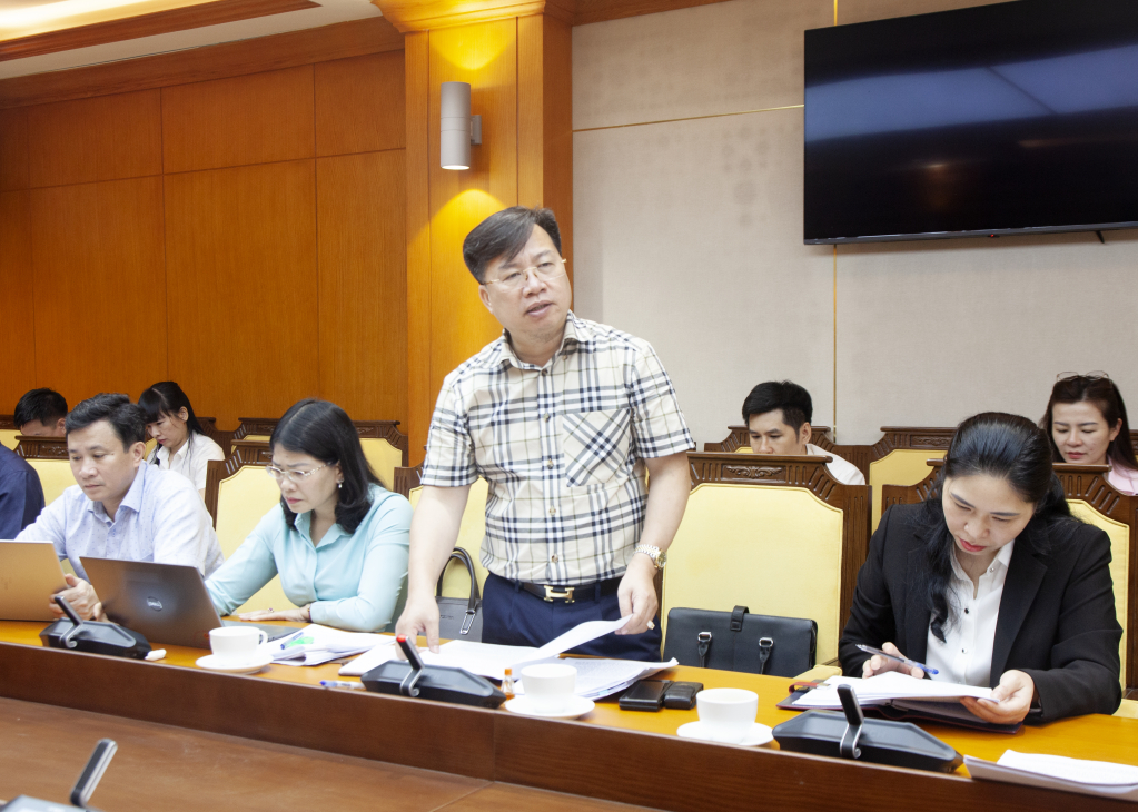 Thành viên Đoàn giám sát phát biểu tại buổi làm việc