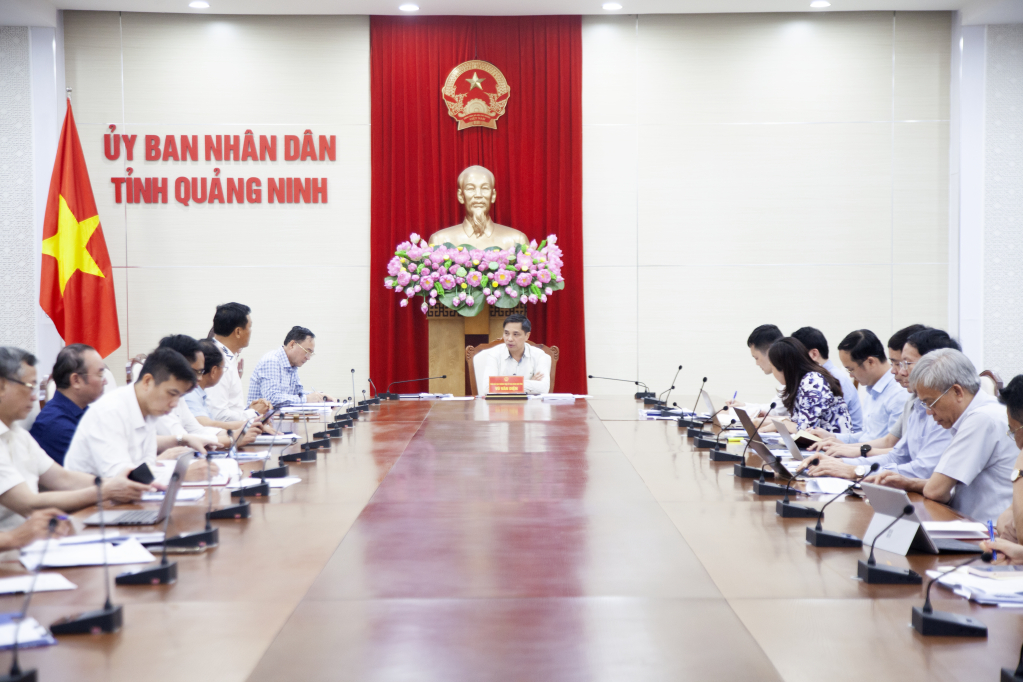 Đồng chí Vũ Văn Diện, Phó Chủ tịch Thường trực UBND tỉnh chủ trì hội nghị