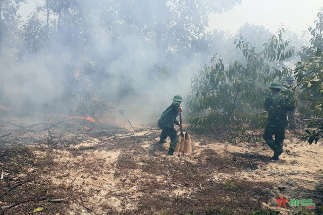 Cháy rừng trồng tràm tại huyện Phong Điền tại Thừa Thiên Huế  - Ảnh 2.
