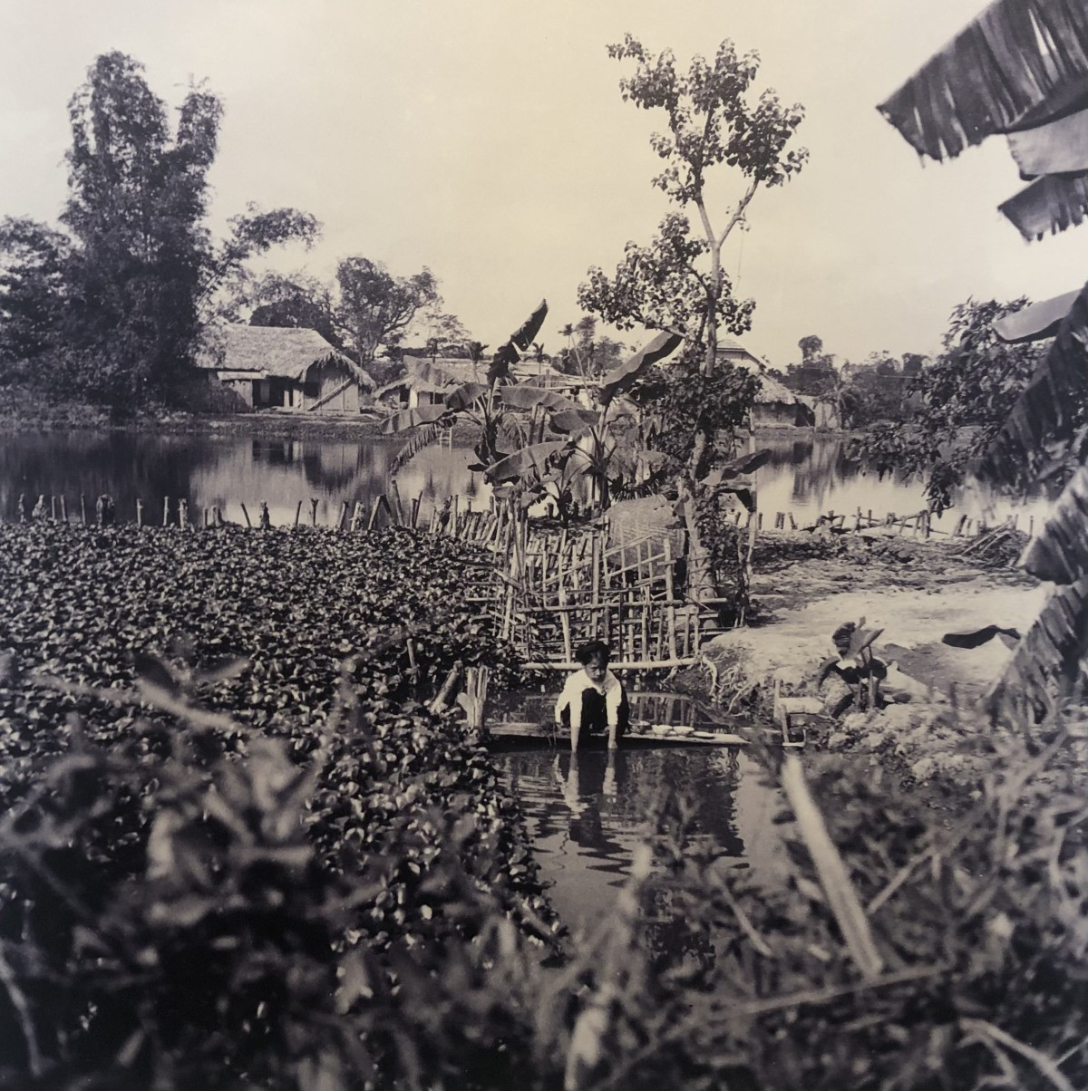 Mid-20th century Vietnam through Ukrainian photographer's lenses