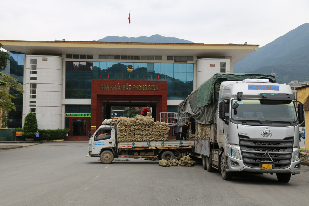 Bốc xếp hàng hóa xuất khẩu tại cửa khẩu Bắc Phong Sinh