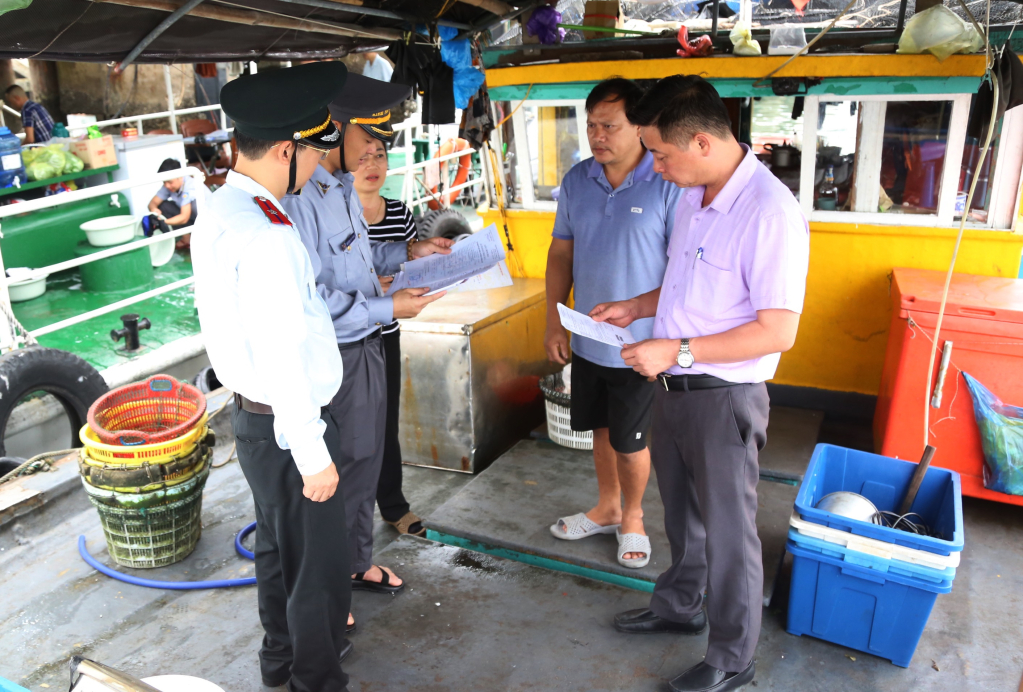 Đoàn kiểm tra Sở NN&PTNT kiểm tra các giấy tờ theo quy định đối với tàu cá hoạt động trên địa bàn tỉnh Quảng Ninh, tháng 4/2024. Ảnh: Nguyễn Thanh