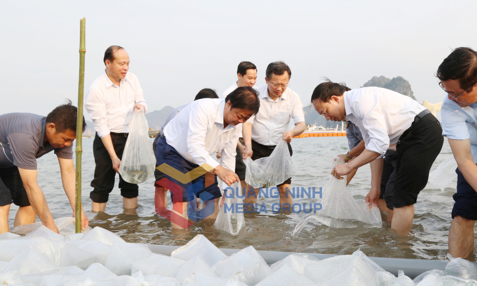 Bộ trưởng Bộ NN&PTNT Lê Minh Hoan thăm và làm việc tại Quảng Ninh, tháng 4-2024