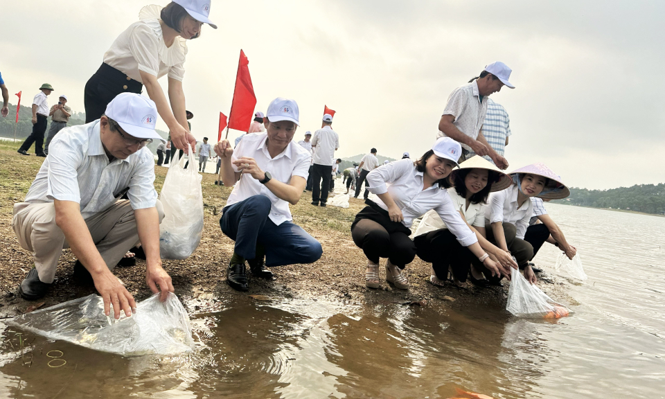 TP Uông Bí: Thả hơn 7.000 con cá giống xuống hồ Yên Trung
