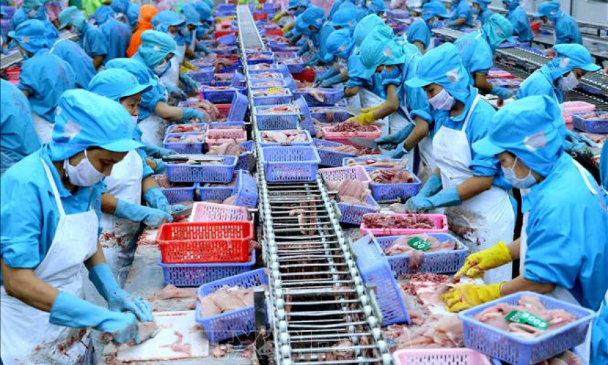Xuất khẩu thủy sản quý I/2024 đạt gần 2 tỷ USD