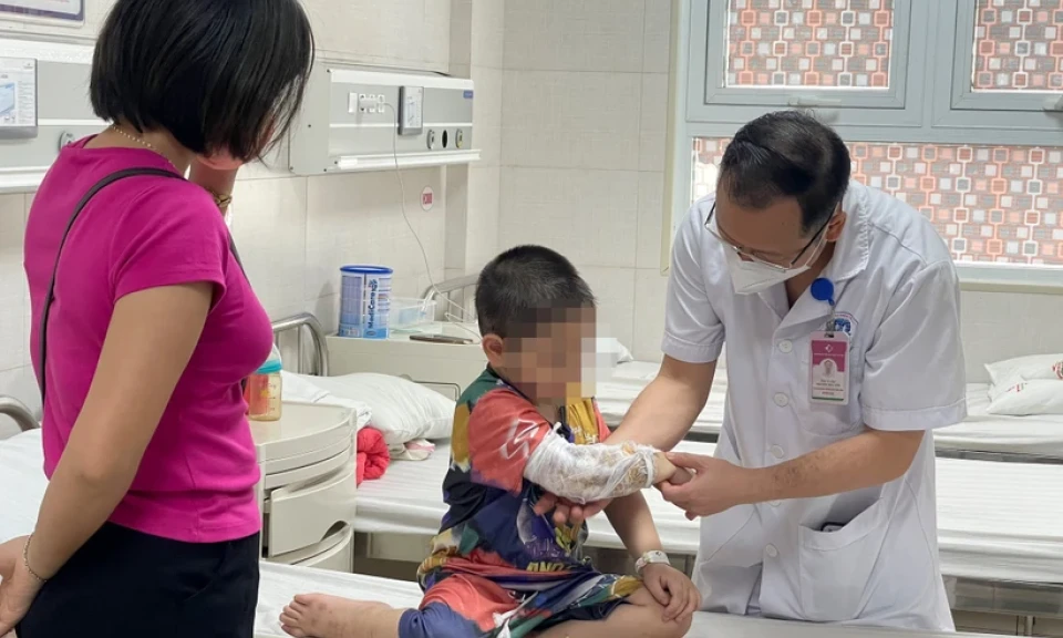 Bệnh nhi 3 tuổi bị chó béc-giê nhà hàng xóm tấn công gây vỡ thận