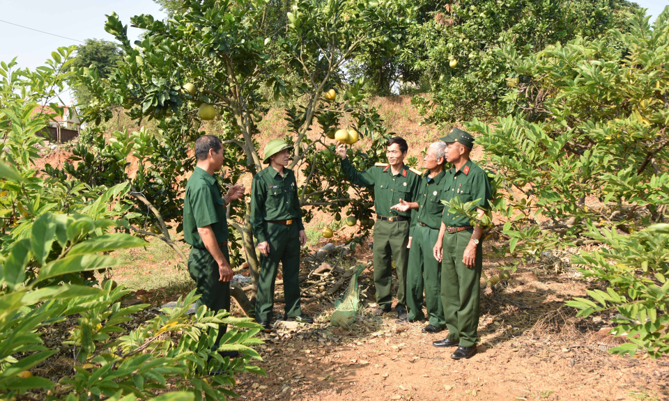 Cựu chiến binh Quảng Ninh phát huy hiệu quả nguồn vốn vay phát triển kinh tế