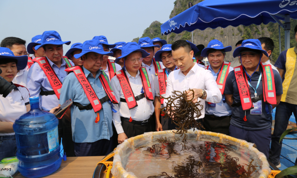 Sớm đưa Quảng Ninh trở thành trung tâm thủy sản miền Bắc