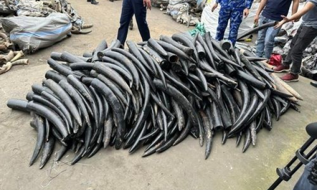 Bản tin vùng Đông Bắc ngày 03/4/2024