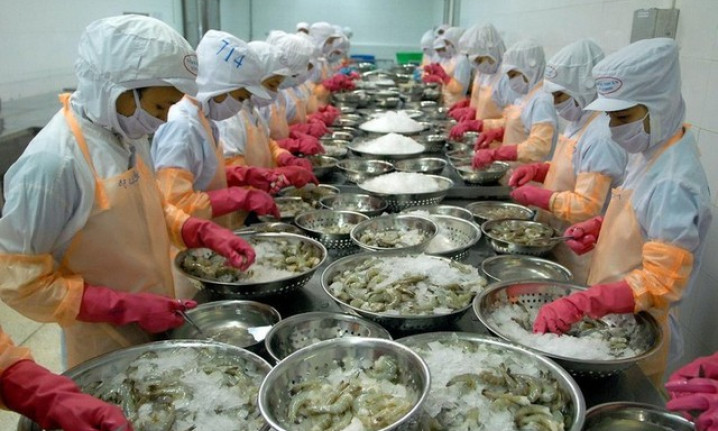 Rào cản của xuất khẩu tôm