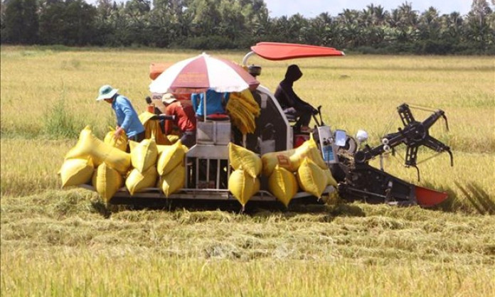 Over 1 million to be trained for massive high-quality rice project