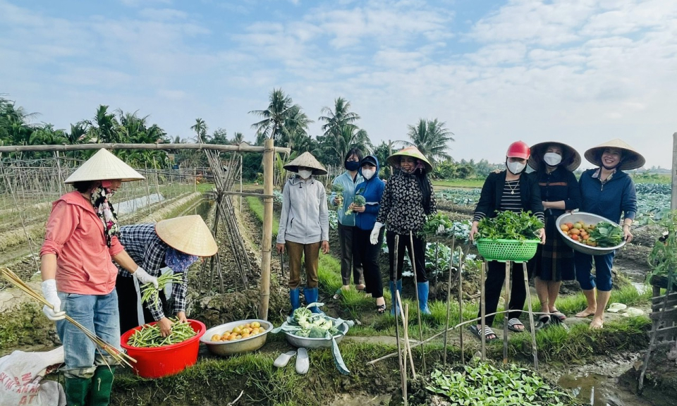 Hỗ trợ đào tạo nghề cho lao động nông thôn