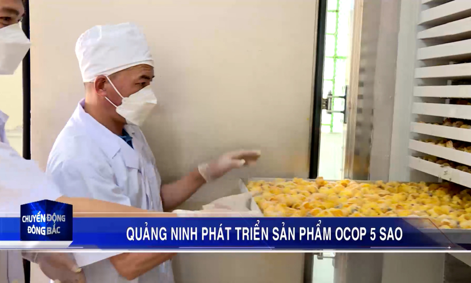 Quảng Ninh phát triển sản phẩm OCOP 5 sao