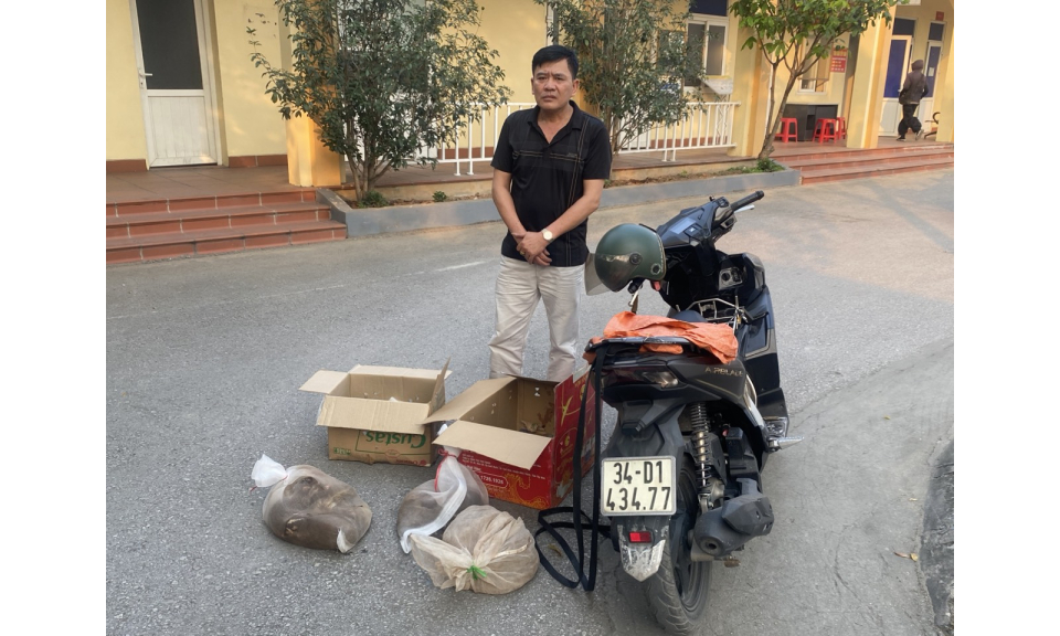 Phát hiện trường hợp vận chuyển động vật hoang dã