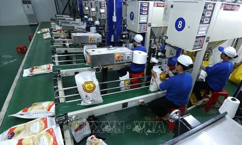Tính chuyện đường dài trong xuất khẩu gạo