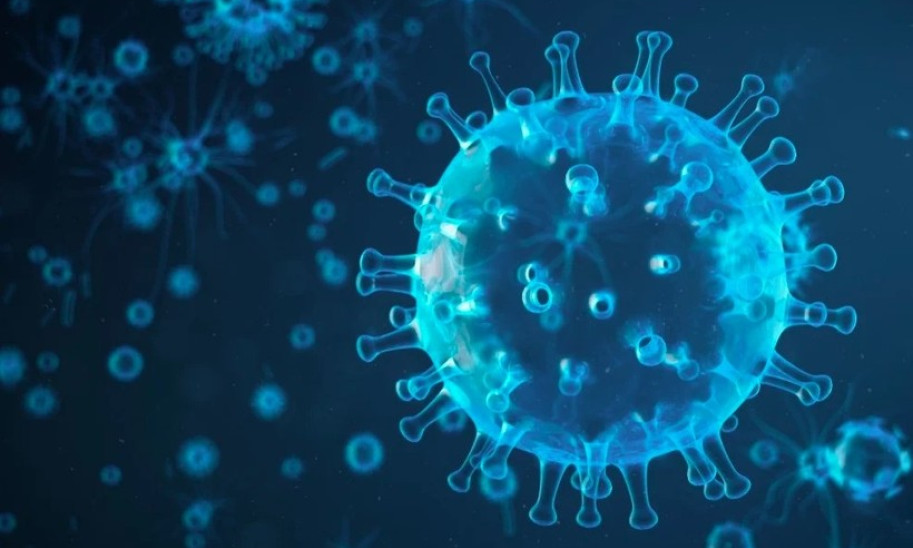 Những thực phẩm cần tránh để phòng cúm A (H5N1)