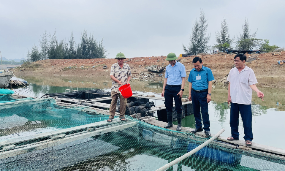 Đẩy nhanh quy hoạch vùng nuôi trồng thủy sản tập trung