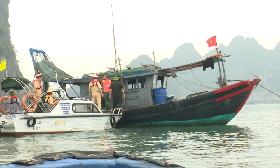 Hạ Long: Triển khai đợt cao điểm kiểm tra, xử lý tàu cá “3 không”