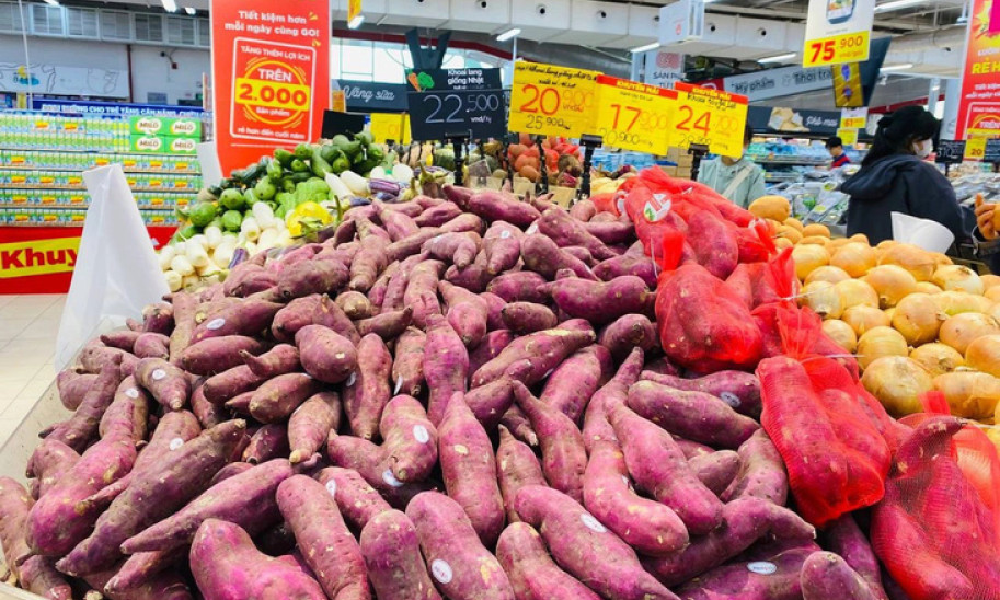 Khoai lang tại ruộng rớt giá, siêu thị vẫn bán vài chục ngàn đồng 1kg, vì sao?