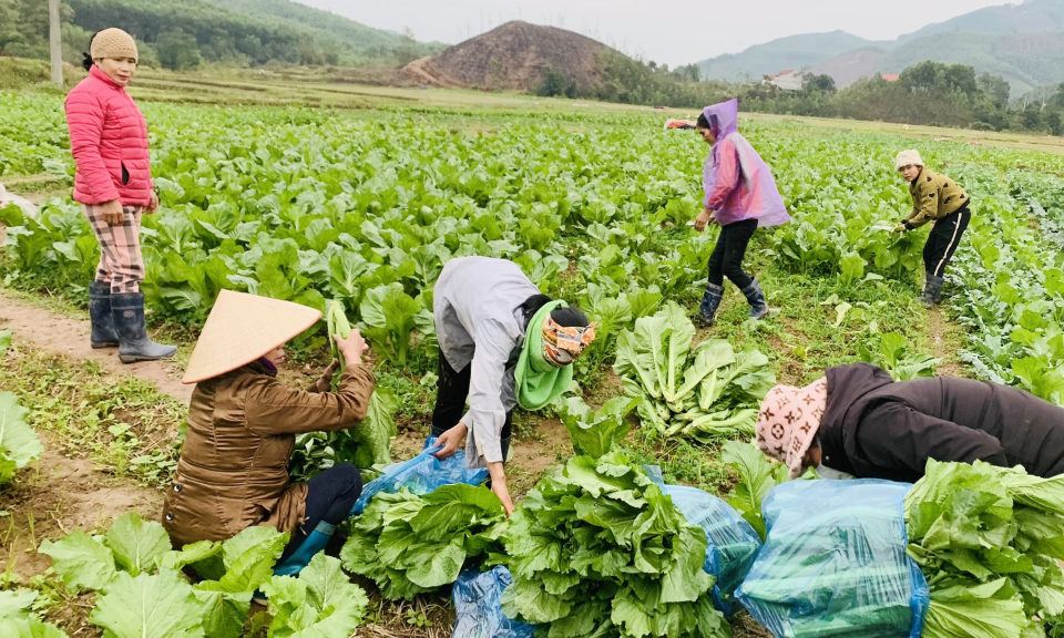Mô hình CLB phụ nữ thực hiện ATTP