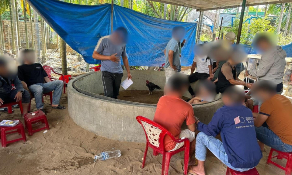 Triệt phá sới gà trong ngôi nhà kín cổng