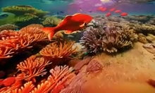 Higgsfield - AI tạo video có thể kiểm soát chuyển động