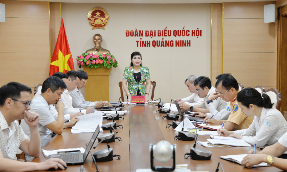 Đoàn ĐBQH tỉnh lấy ý kiến góp ý vào Dự thảo báo cáo giám sát thực hiện chính sách pháp luật về đảm bảo TTATGT