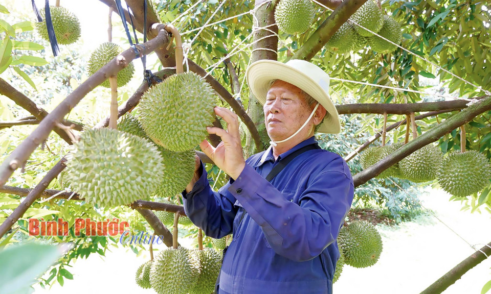 Bình Phước: 30 năm 1 thương hiệu 