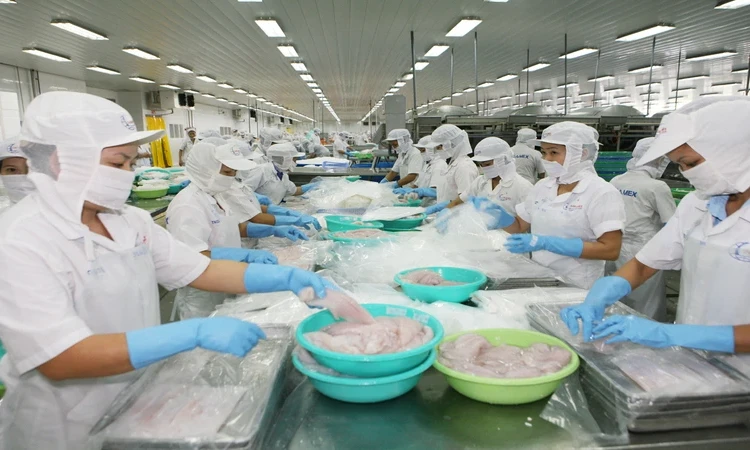 Mỹ tiếp tục tiêu thụ lượng lớn nông sản của Việt Nam