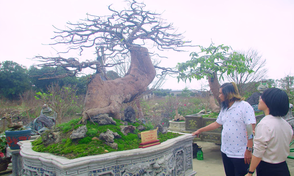 Bản tin Vùng Đông Bắc ngày 10/4/2024